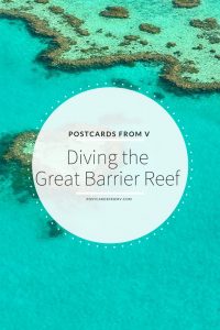 pinterest, diving the great barrier reef, postcards from v