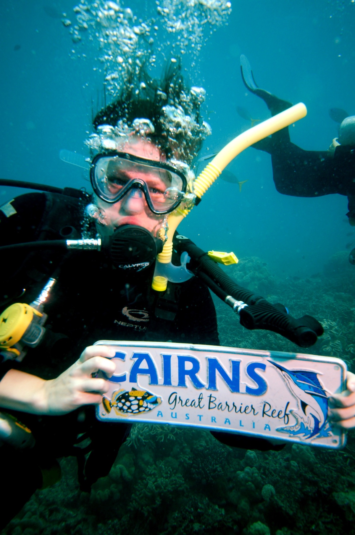 Great Barrier Reef, Diving, Cairns, Underwater