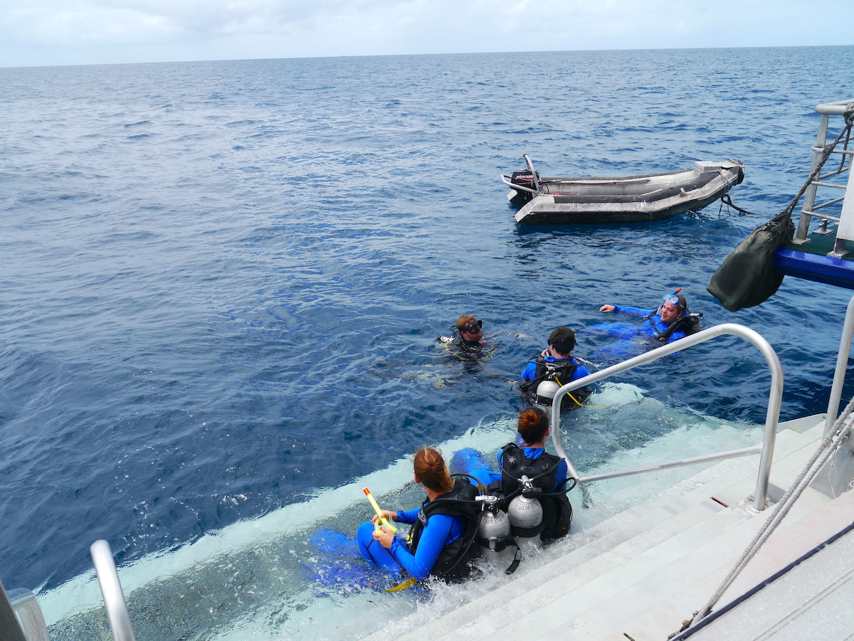 Great Barrier Reef, Diving, Ocean